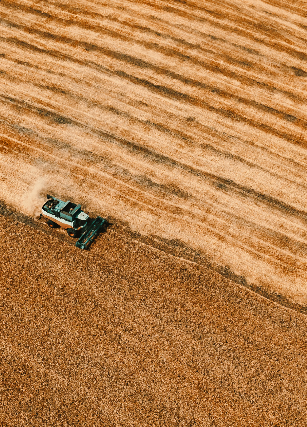 We identify high-potential farming lots across strategic locations and structure them into well-defined cluster projects for long-term value and sustainability.