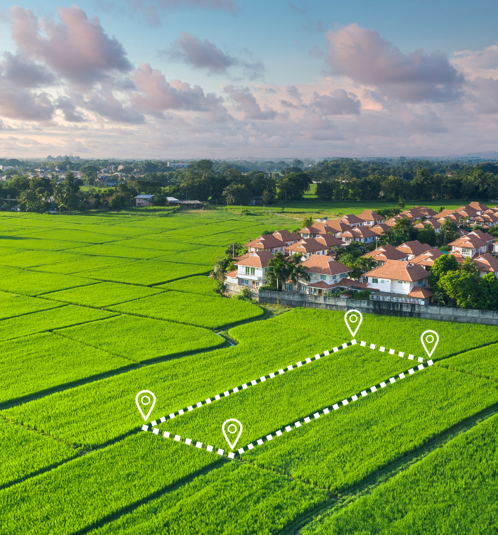 Organic farms avoid toxic inputs, improve soil health, grow clean, sustainable food that supports nature.