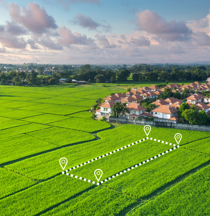 Organic farms avoid toxic inputs, improve soil health, grow clean, sustainable food that supports nature.