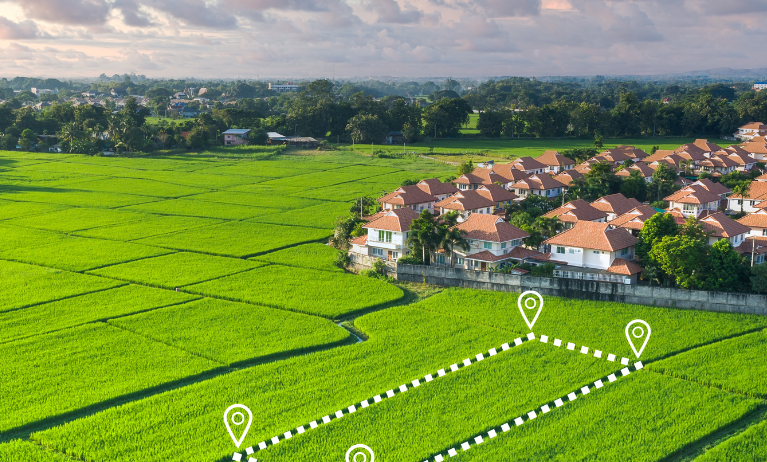 Organic farms avoid toxic inputs, improve soil health, grow clean, sustainable food that supports nature.