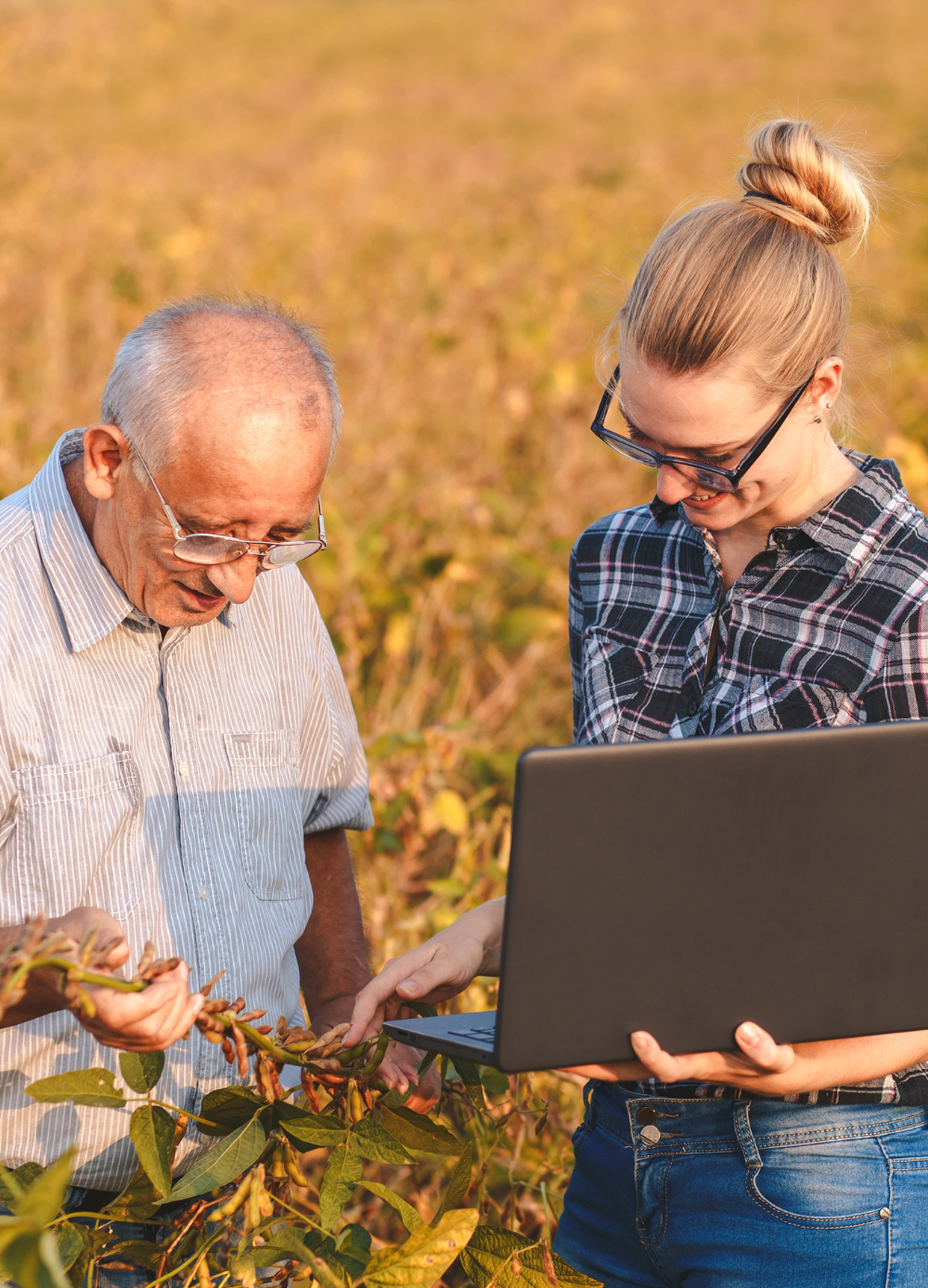 The project follows a structured holding period with defined timelines, after which the farming lot transitions as per the agreed project framework.