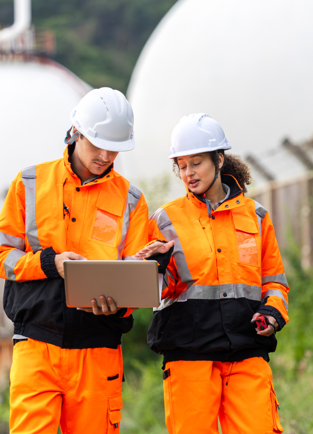 After registration, the farming lot is leased to a professional operating company that manages cultivation and production across the entire cluster.